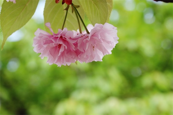 企业生产部主管职责(精选6篇)