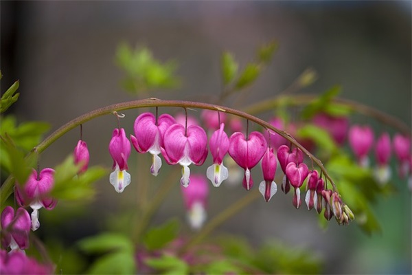 最新端午节短信83句