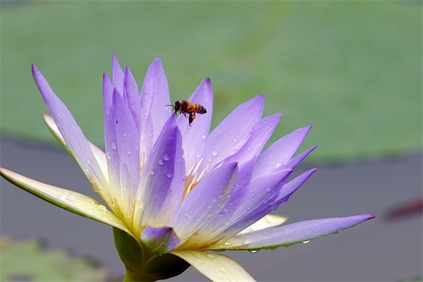 中秋节恋人短信祝福85句