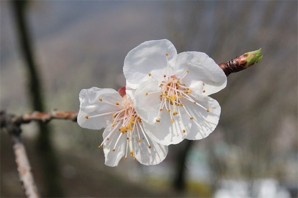 教师节的短信82句 教师节的短信82句