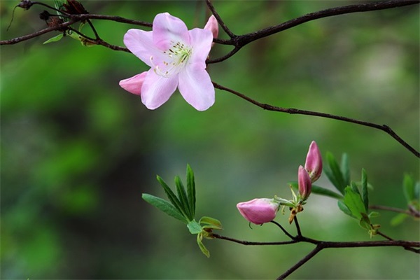 祝教师节短信84句 祝教师节短信84句