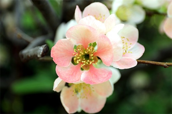 元宵节祝福短信给老师82句 元宵节祝福短信给老师82句
