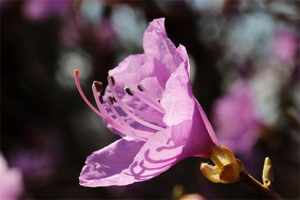 中秋节员工慰问短信84句 中秋节员工慰问短信84句
