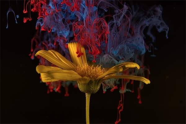 端午节给恋人的短信80句 端午节给恋人的短信80句