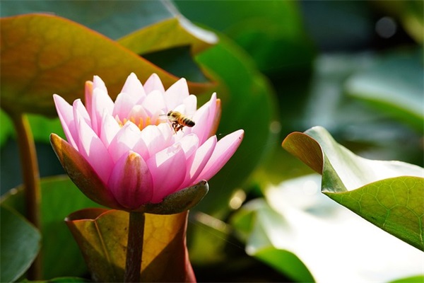儿童节幽默短信79句 儿童节幽默短信79句