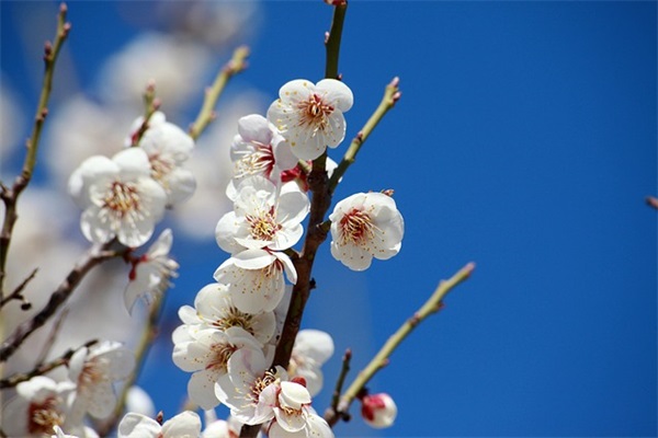 父亲节的精彩短信81句 父亲节的精彩短信81句