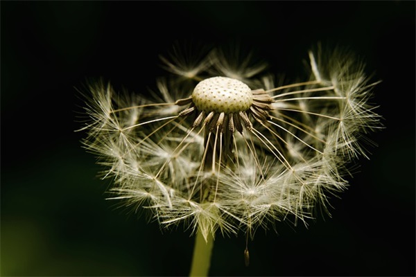 端午节搞笑幽默短信80句 端午节搞笑幽默短信80句