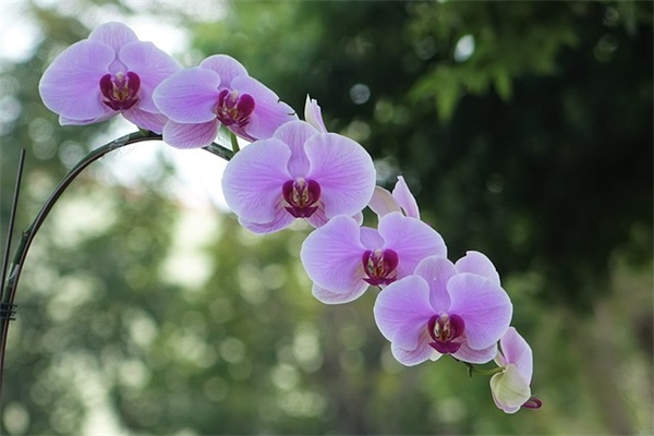 教师节的短信祝福80句 教师节的短信祝福80句