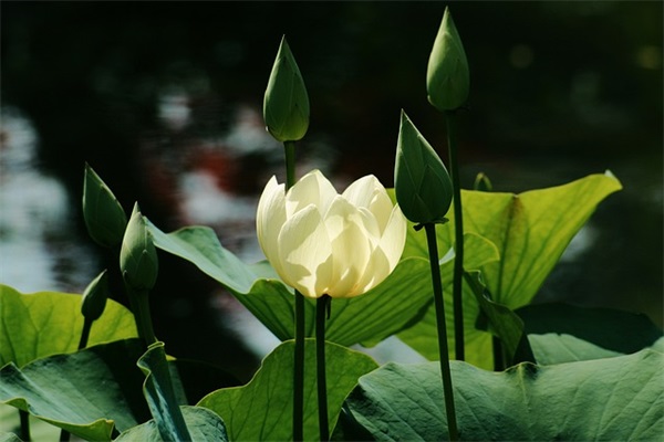 五一节的短信笑话83句 五一节的短信笑话83句