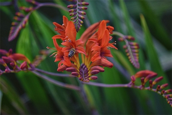 温馨的中秋节短信81句
