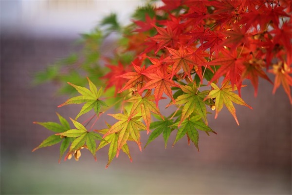 愚人节情侣短信82句
