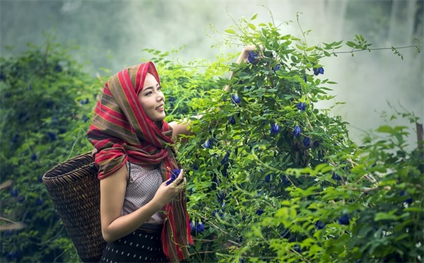 qq的网名昵称大全女生
