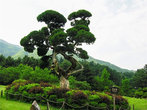 重阳节短信大全80句 重阳节短信大全80句