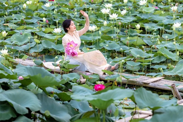 节哀顺变慰问短信82句