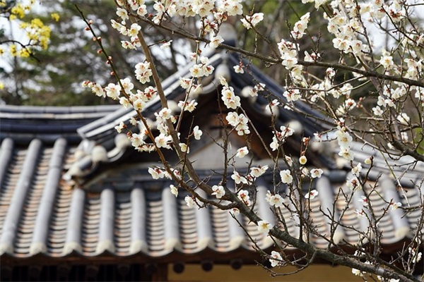 中秋节送礼品短信80句