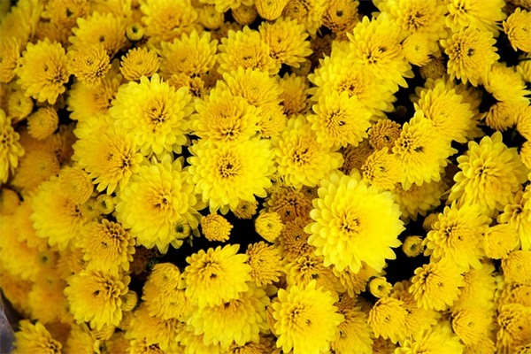 中秋节短信祝福老师82句