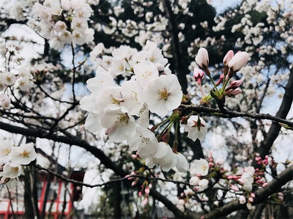 情人节搞笑手机短信84句