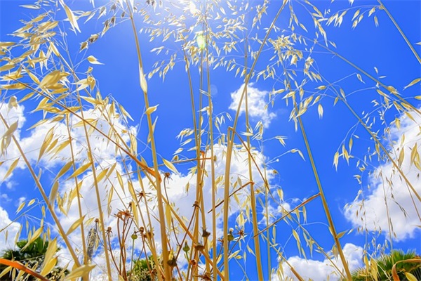 劳动节英文祝福短信 劳动节英文祝福短信