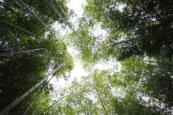 微信朋友圈正能量早安语录