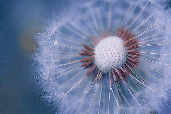 搞笑的万圣节节日语录