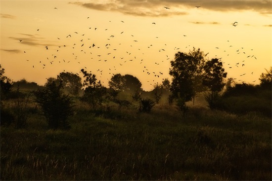 情话最暖心86句