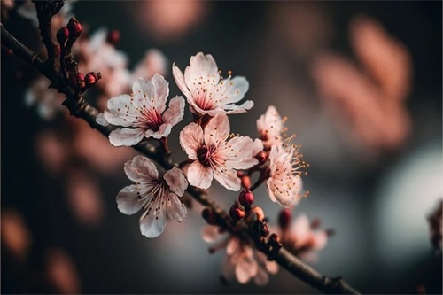 高中毕业生对老师的感谢寄语 【高中毕业生对老师的感谢话】