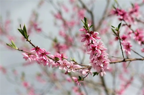 励志的感悟的句子