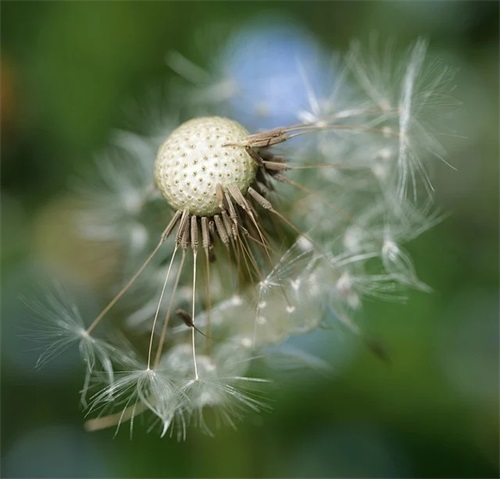 2025喜迎八一建军节的走心句子