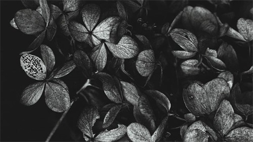 抖音带格式的网名昵称