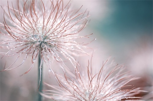 温暖阳光的微信昵称(精选396个)