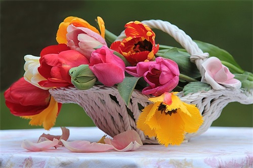 建材店起名大全名称实用226个