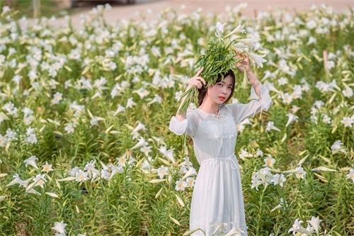 好听的女微信网名大全 好听的女微信网名大全