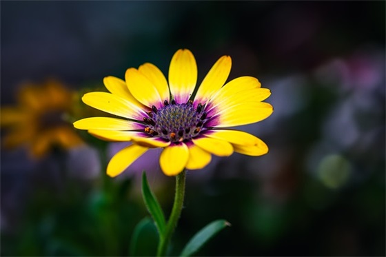有些人一旦错过就不在的说说经典句子