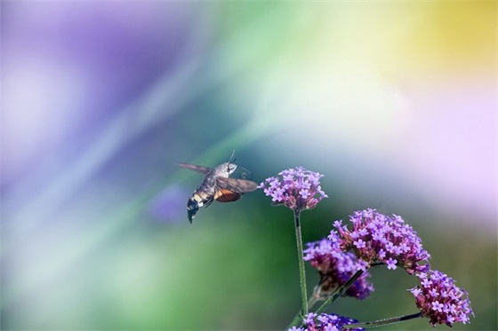 道理都懂经典语录-66句