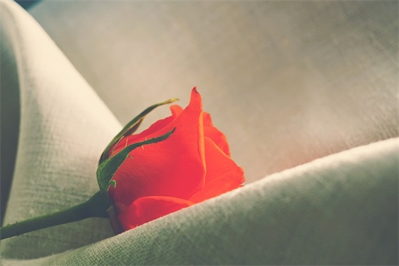 女儿十岁成长寄语短句(50句)