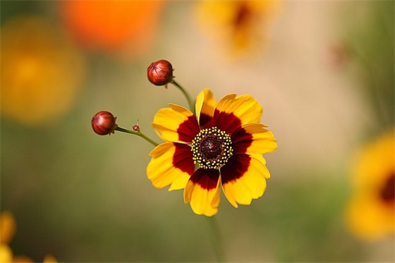 部队演讲稿范文大全