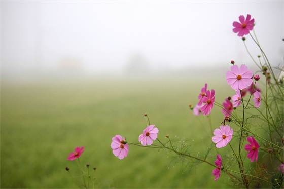 工作入党申请书范文