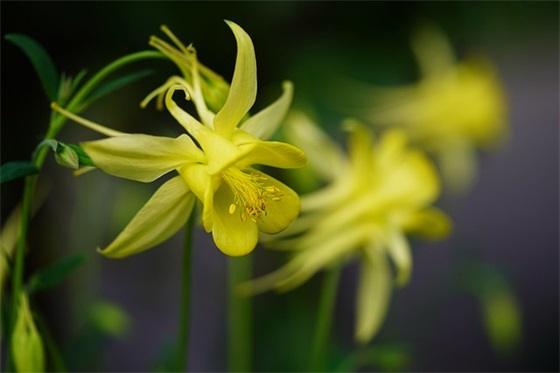 优秀三分钟演讲稿范文