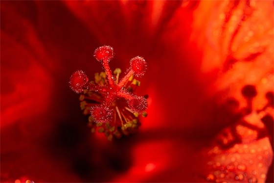 给女儿的周岁成长励志寄语-51句