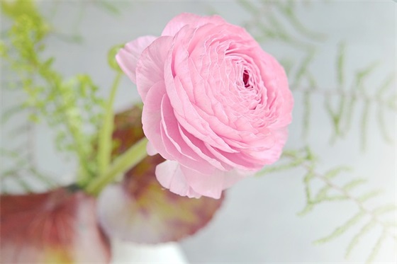 中考前家长寄语20字-51句