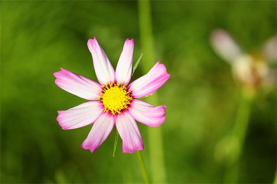 宝宝去幼儿园的寄语-50句