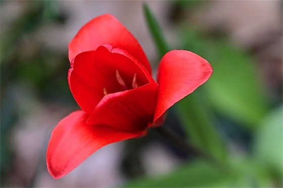 高三孩子的寄语鼓励孩子的高考寄语-57句