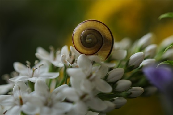 老师对孩子说的毕业寄语-52句