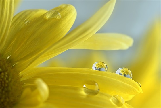 对六岁儿子成长的唯美寄语-52句