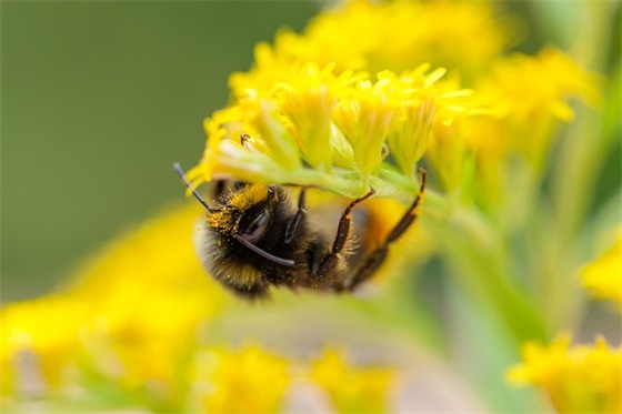 希望孩子自信的寄语-64句 希望孩子自信的寄语-64句