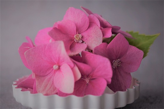 给孩子写一份寄语-51句 给孩子写一份寄语-51句