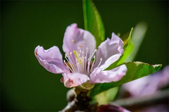 给大男孩的寄语-50句
