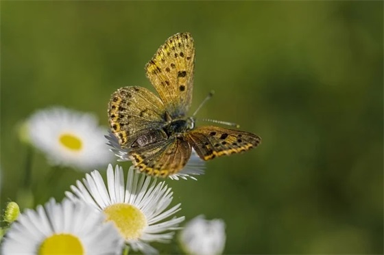 给自己的寄语简短-53句 给自己的寄语简短-53句