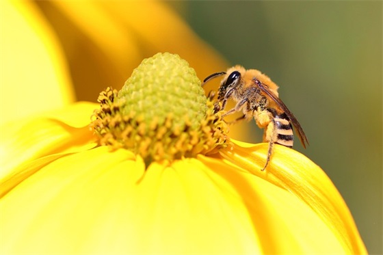 学生毕业鼓励寄语-51句