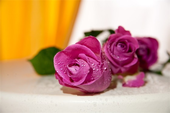 工作的寄语-50句